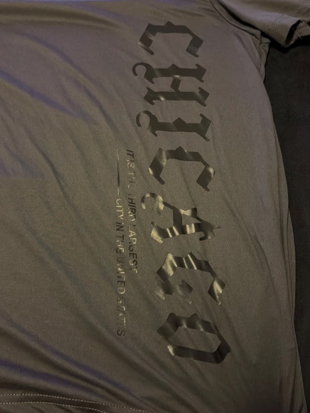 Graphic Tee with Raised Gloss Logo - Olive/Charcoal